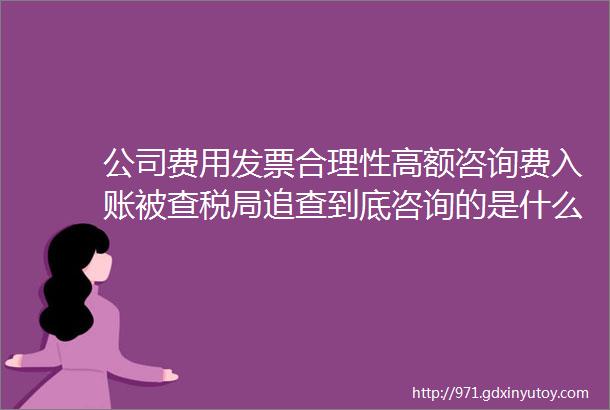 公司费用发票合理性高额咨询费入账被查税局追查到底咨询的是什么